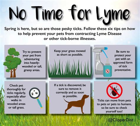 Protect Your Pet From Tick Borne Illnesses By Regularly Checking For