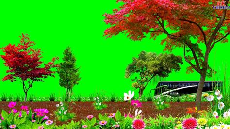 Green Screen Background Video Effects Hd Naturefree Video Background