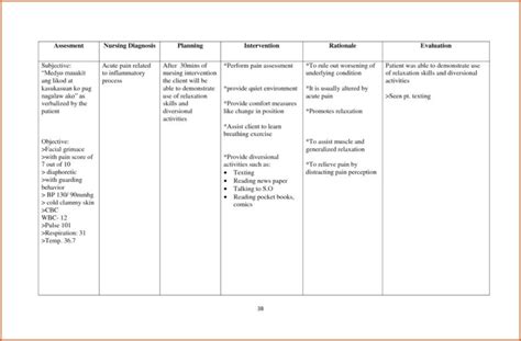 Editable Nursing Care Plan Template