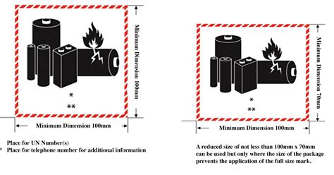 Lithium Battery Label Update 2022 Hibiscus Plc Buy Directly Online