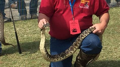 Rattlesnake Rodeo Returns To Opp