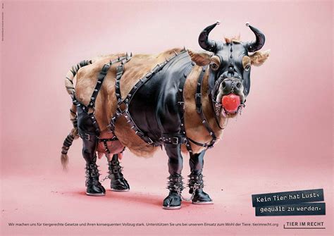 Foundation Tier Im Recht 3d Animals • Ads Of The World™ Part Of The