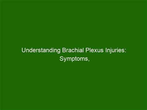 Understanding Brachial Plexus Injuries Symptoms Treatment And More