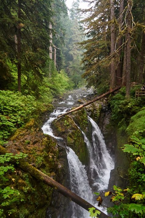 Sol Duc Falls Lets Go Into The Midnight