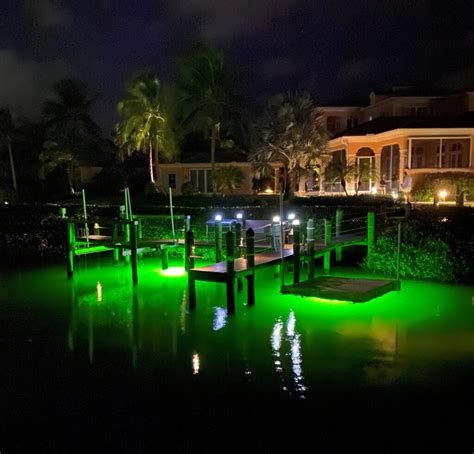 Why Are Dock Lights Green Underwater Fish Light
