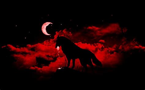 35 Red And Black Wolf Wallpapers Download At Wallpaperbro