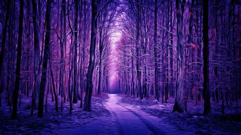 Purple Winter Forest Digital Painting Wallpaper Backiee