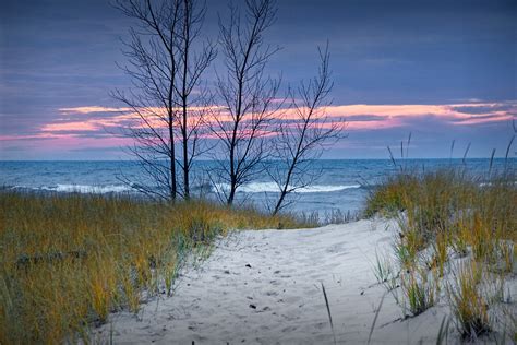 Sunset Photograph Of Trees And Dune With Beach Grass At Holland