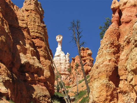 Hiking The Unforgettable Queens Garden And Navajo Loop Trail In Bryce