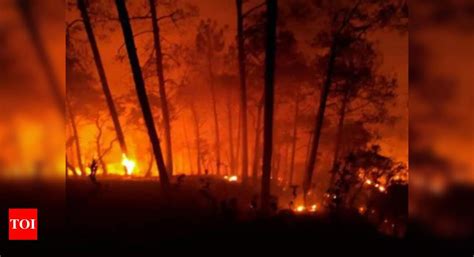Forest Fire Damages Two Houses In Bageshwar Villages