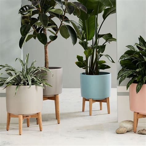 No wonder they struggle to cope when the biggest threat is dry and dust. Mid-Century Turned Leg Standing Planters - Matte | west elm UK