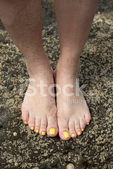 Sandy Feet Stock Photo Royalty Free FreeImages