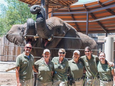 Utah Zoo Disputes Placement On ‘worst Zoos For Elephants List