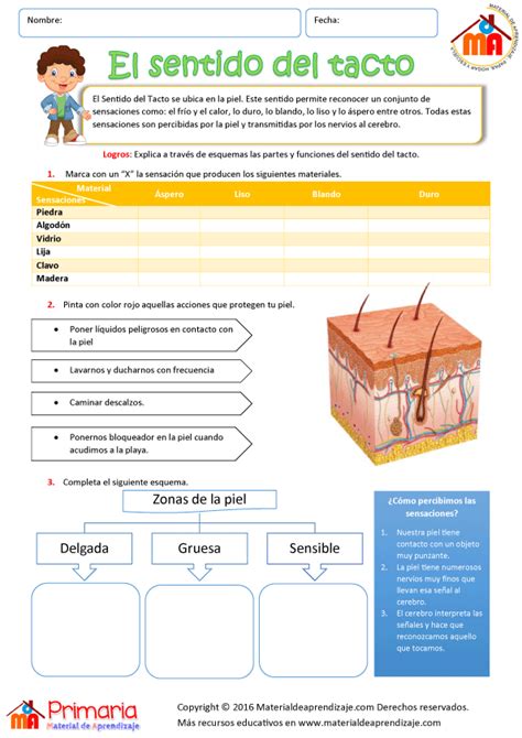 El Sentido Del Tacto 3er Grado Sentido Del Tacto Actividades Del