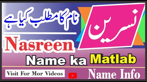 nasreen name meaning in urdu name info nsreen naam ka kya matlab hai nameinfo نسرین کا