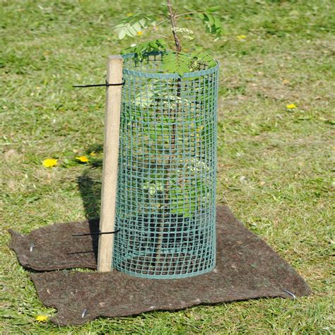 Mesh Tree Guard Shelters And Stake Packages Tree Protection