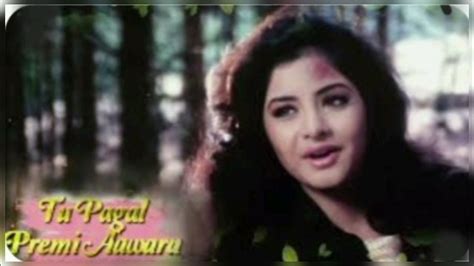 Divya Bharti Song Tu Pagal Premi Aawara Shola Aur Shabnam Govinda
