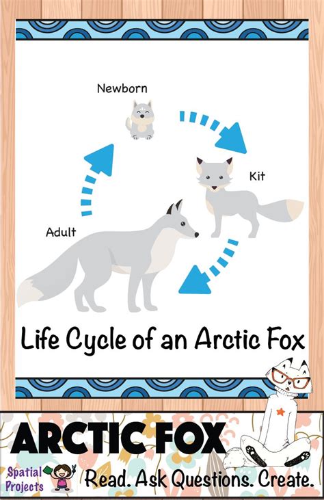 All About Arctic Foxes Nonfiction Animal Writing Arctic Fox Fox