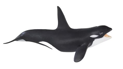 Safari Ltd Killer Whale Orca Wild Safari Sea Life Collection
