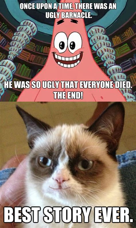 Tard The Grumpy Cat No Tard The Grumpy Cat Memes Facebook