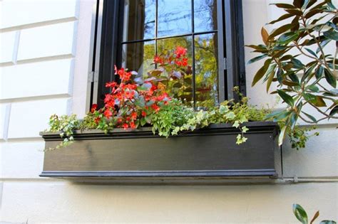 Bac A Fleurs Bois Noir Lierre Grimpant Idee Deco Window Box Flowers