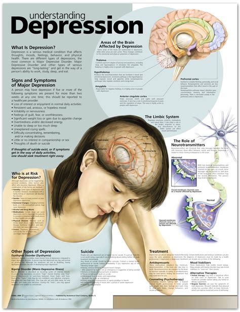 Understanding Depression Anatomical Chart Anatomy Models And