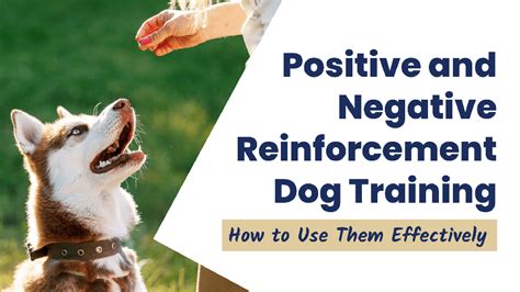 Positive And Negative Reinforcement Dog Training