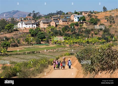 rural village in the betsileo region near fianarantsoa haute matsiatra madagascar southeast