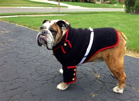 Usmc Bulldog Uniform Marine Dog Uniform By Babypropsbyconnie