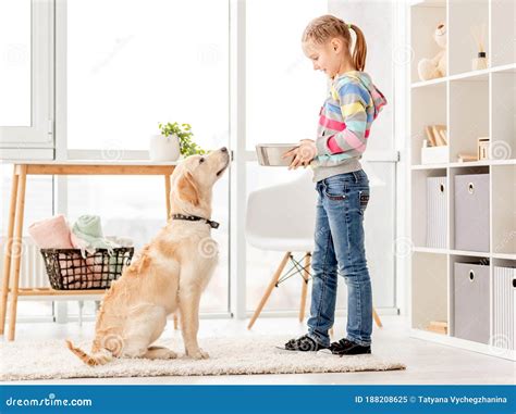 Beautiful Girl Feeding Cute Dog Stock Image Image Of Cute Home