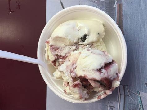 Try Giffords Maine Black Bear ice cream! | Ice cream, Food, Cream