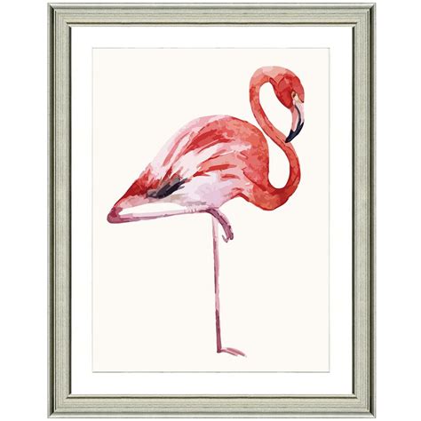 Vintage Print Gallery Fiery Flamingo Ii Framed Archival