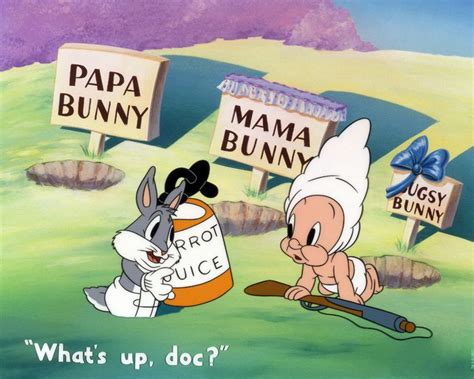 Baby Bugs And Elmer Wildsville Gallery Bugs Bunny Cartoons Elmer