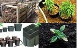 Images of Marijuana Soil Mix Outdoors