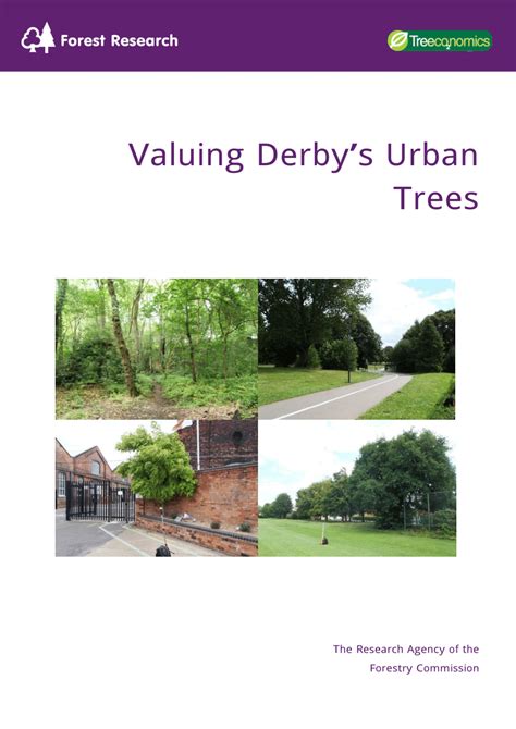 Pdf Valuing Derbys Urban Trees A Report To Derby City Council