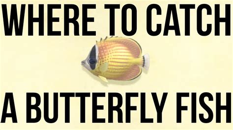 Catching A Butterfly Fish In Animal Crossing New Horizons Youtube