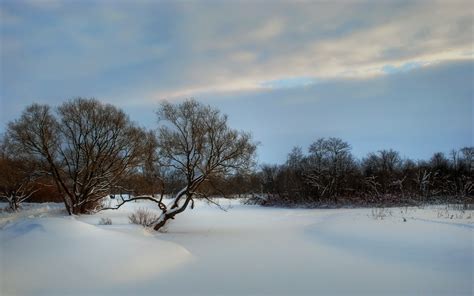 Frozen River Wallpaper