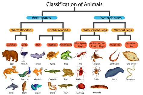 ¿cuántas Especies Animales Existen En La Tierra Mis Animales