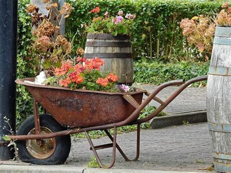 Best Wheelbarrows For The Money Reviews And Buying Guide