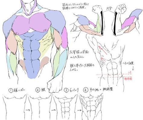 Anime eyes reference by nukababe on deviantart. 29 tutorials on muscles! - on Pixiv // http://www.pixiv.net/spotlight/287 | art refs ...
