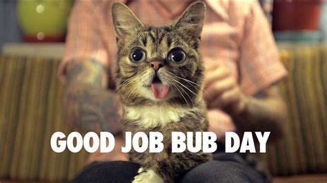 Lift your spirits with funny jokes, trending memes, entertaining gifs, inspiring stories, viral videos, and so much more. GOOD JOB BUB Day - September 3rd - YouTube