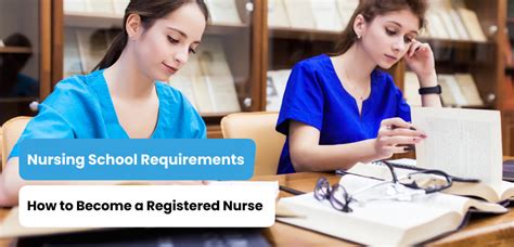 Nursing School Requirements Academia Labs