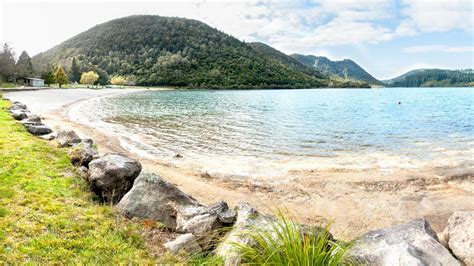 Blue Lake Track Lake Tikitapu Scenic Reserve Bay Of Plenty Region