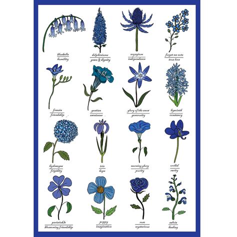 The Language Of Blue Flowers Identification Chart Etsy Australia