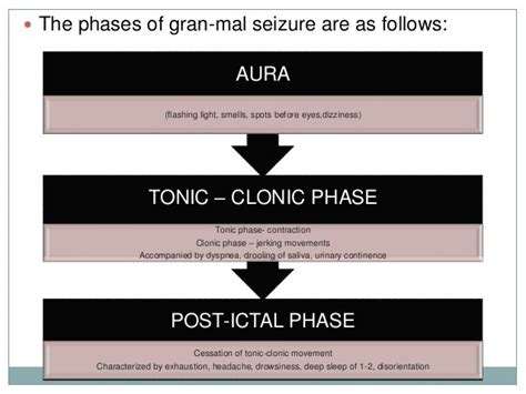 Epilepsy Management