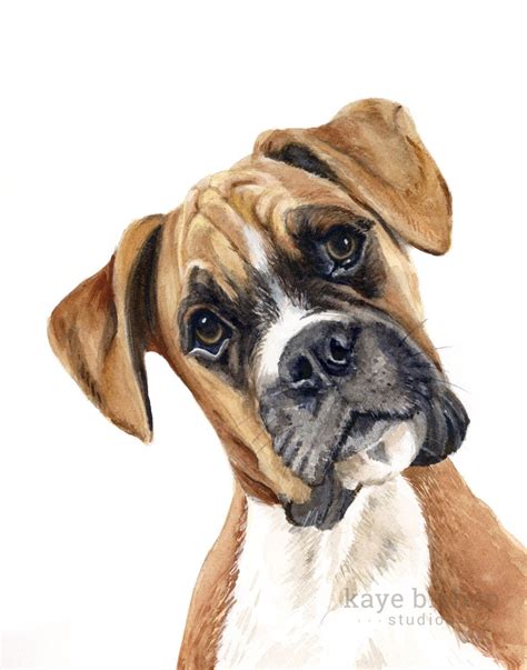 Boxer Watercolor Painting Animal Art Boxer Painting Boxer Watercolor