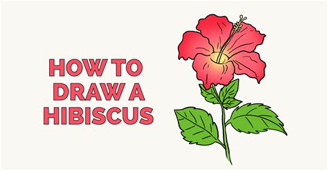 Https://tommynaija.com/draw/how To Draw A Beautiful Hibiscus Flower
