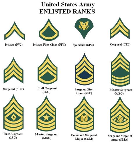 Us Army Rank Insignia 1960 Navy Visual