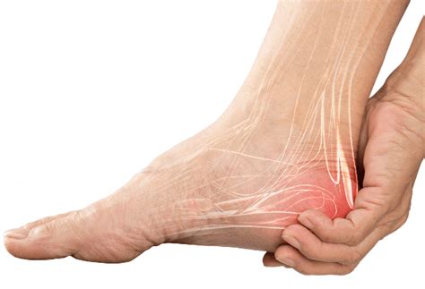 Main Causes Of Back Of Heel Pain In North Seattle Foot And Ankle