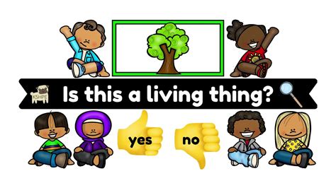 Living And Non Living Things Simple Science Characteristics And Needs